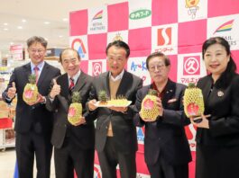 嘉義蜜甘味鳳梨日本開賣 跨界行銷結合文化體育交流