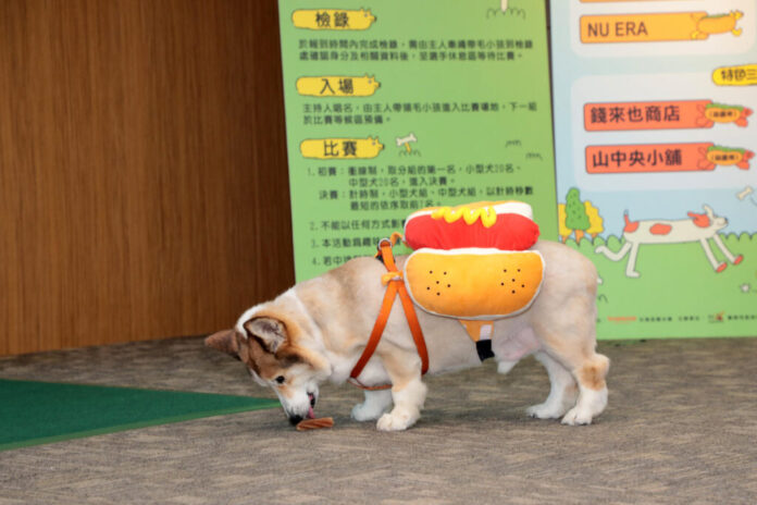 2ed2e4a0-33b6-46ec-9389-785108a42c2a-1024x683-1