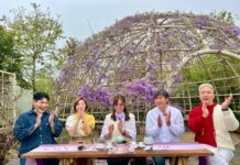 瑞里紫藤花季浪漫登場 山城化身紫色花廊邀旅人春日漫遊