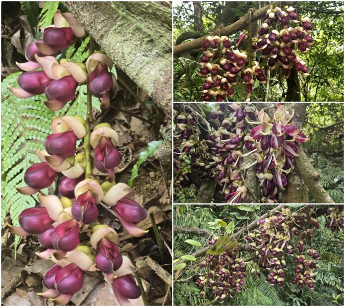 6mnDHrikehE6Pjbk3Bw9