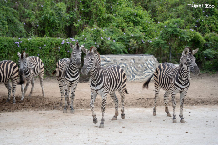 8fa12396-9b89-4edc-9945-cea975f253bf-1024x683-1