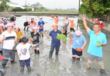 宜蘭嚴選優質米競賽起跑 完整評選提升宜蘭米品質與市場辨識度