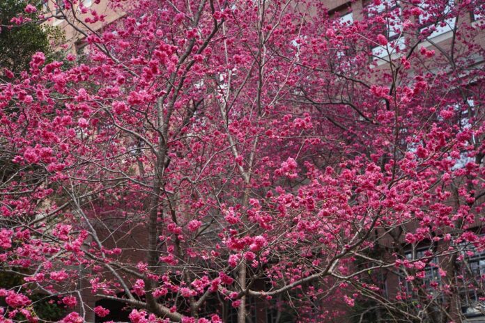 LoAFVAygCuek79O8Kpm3