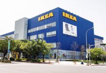 去 IKEA 找家人!新北動保處 3/21 辦認養活動 瑞芳毛寶貝入新厝送 6 大好禮