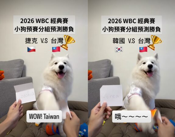 薩摩耶萊芙精準預言中華隊4場預賽結果。(圖/翻攝IG)