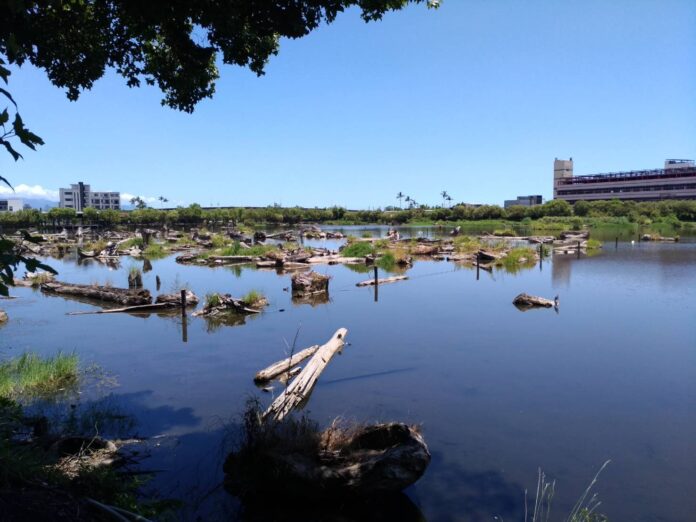 e0cfvKNnBpRpcnQmAAqd