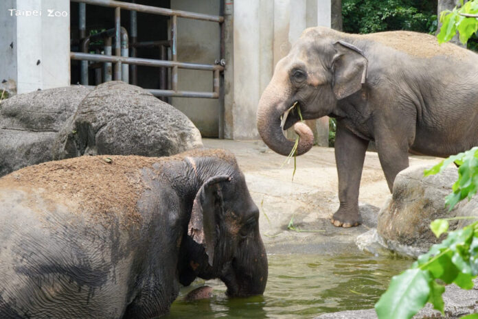 e169504c-c16a-4036-9069-7ebf5b567b6c-1024x684-1