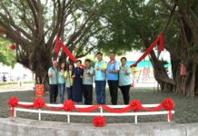 2026員林蜀葵花季盛大開幕 萬株的蜀葵花爭艷 歡迎闔家一同來場春日饗宴