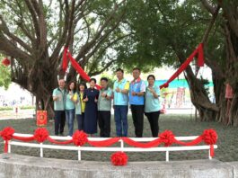 2026員林蜀葵花季盛大開幕 萬株的蜀葵花爭艷 歡迎闔家一同來場春日饗宴