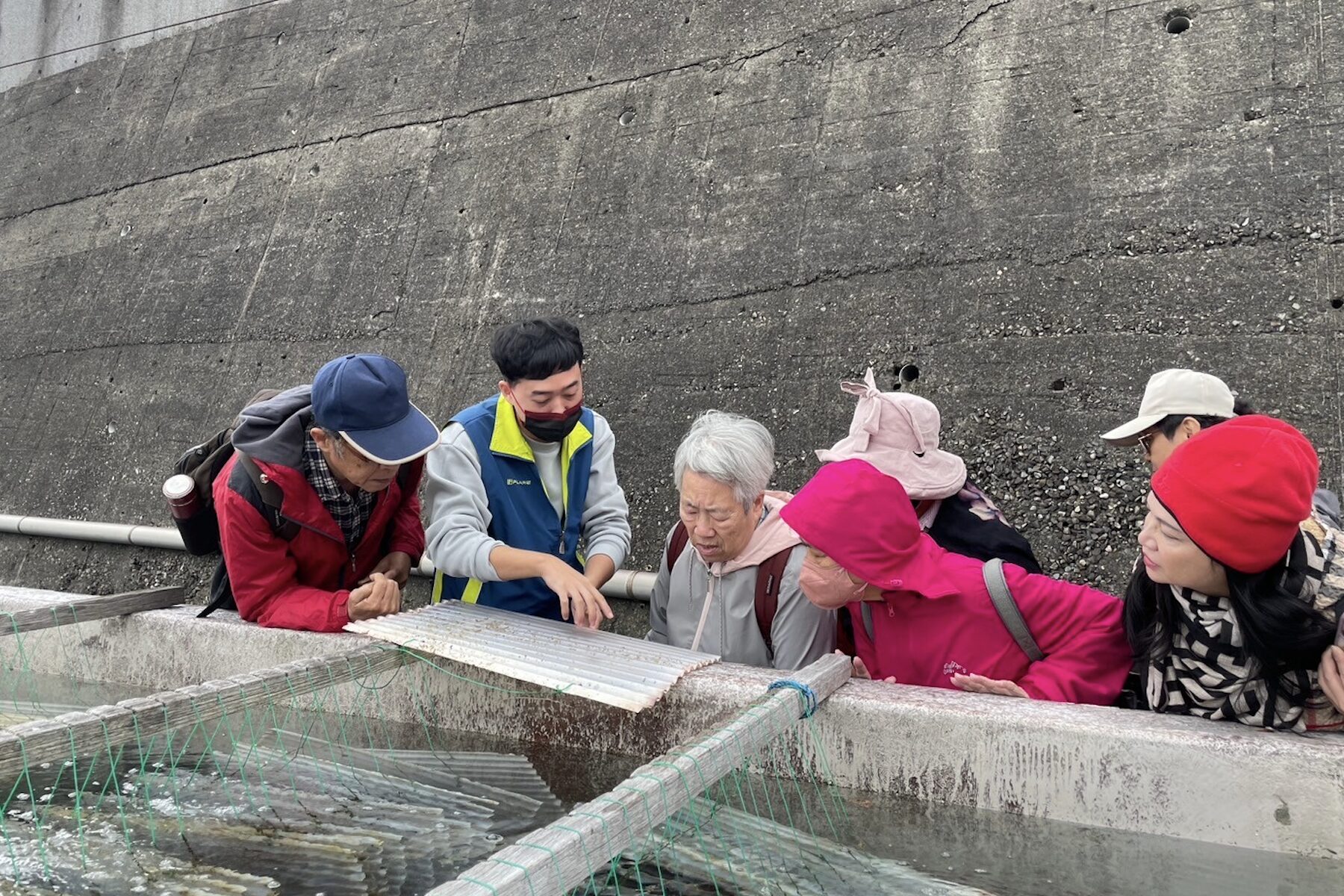 見證小生命的茁壯！東北角九孔培育進入高峰     新北復育園區邀您探訪海洋祕境