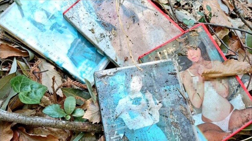前AV女優架乃由羅的作品被發現丟棄在山上。（圖／翻攝架乃由羅IG）