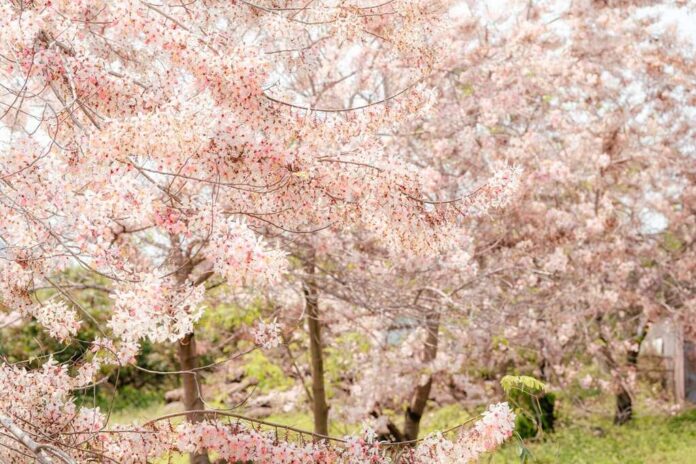 1024x768_articles-image-rxprxathr0ah23ogjmngga