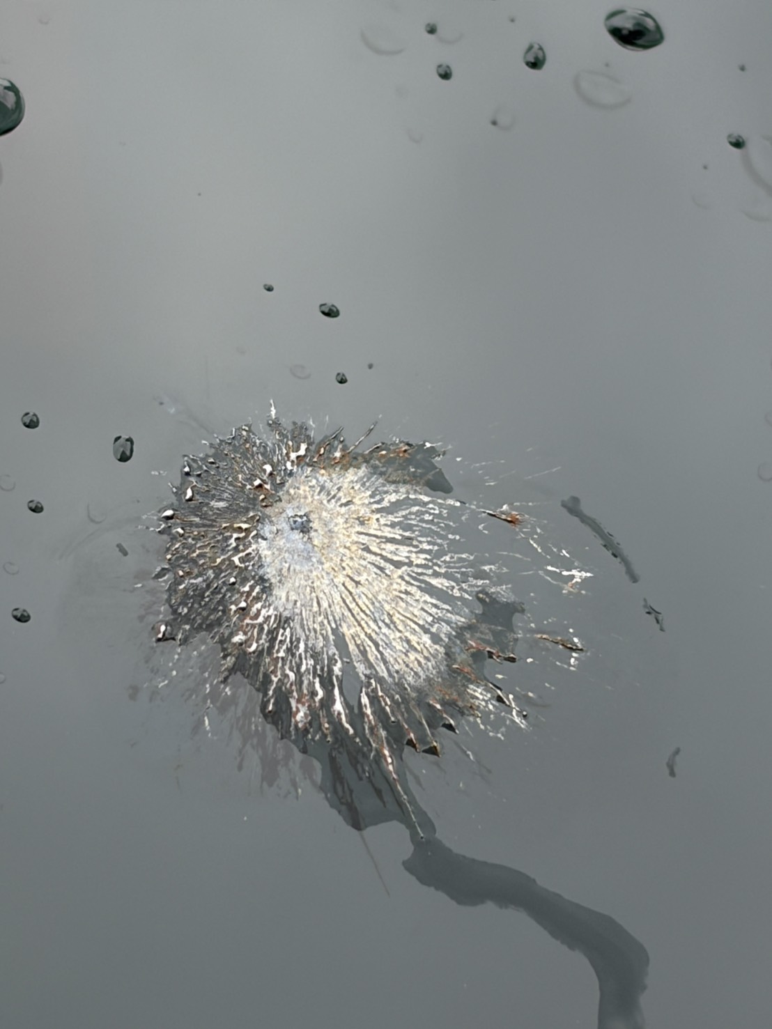 林女第一時間直覺愛車遭到槍擊或彈珠攻擊，慌張地向文山二分局景美派出所報案求助。員警獲報趕抵現場，初步目視判斷可能是鳥屎或砸爛的果實，但因林女仍不放心，警方為求嚴謹，遂通報刑事鑑識人員到場支援。