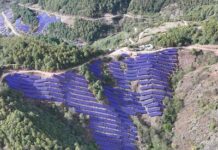 東方日昇實力斬獲華能1.2GW異質結組件大單