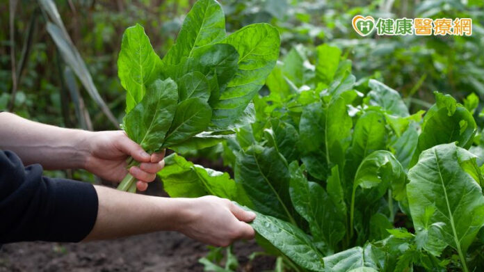 572cfbbf4b07a13cce1f24aa9af6691b_l