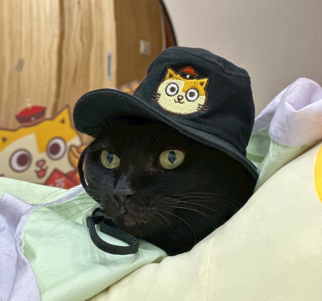 「黃阿瑪的後宮生活」黑貓Socles病逝。（圖／翻攝黃阿瑪的後宮生活臉書）