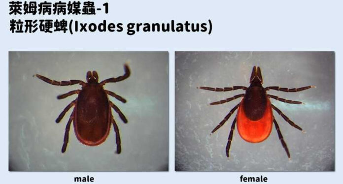 7c72b14f0c236531ffa082edc0fc0d54_l