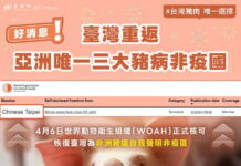 非洲豬瘟防疫成果獲WOAH認證 臺灣重返亞洲唯一「三大豬病非疫國」