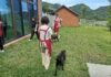前進全台最美動物之家!瑞芳「山中教堂」免費接駁開跑 週一至週日皆可預約