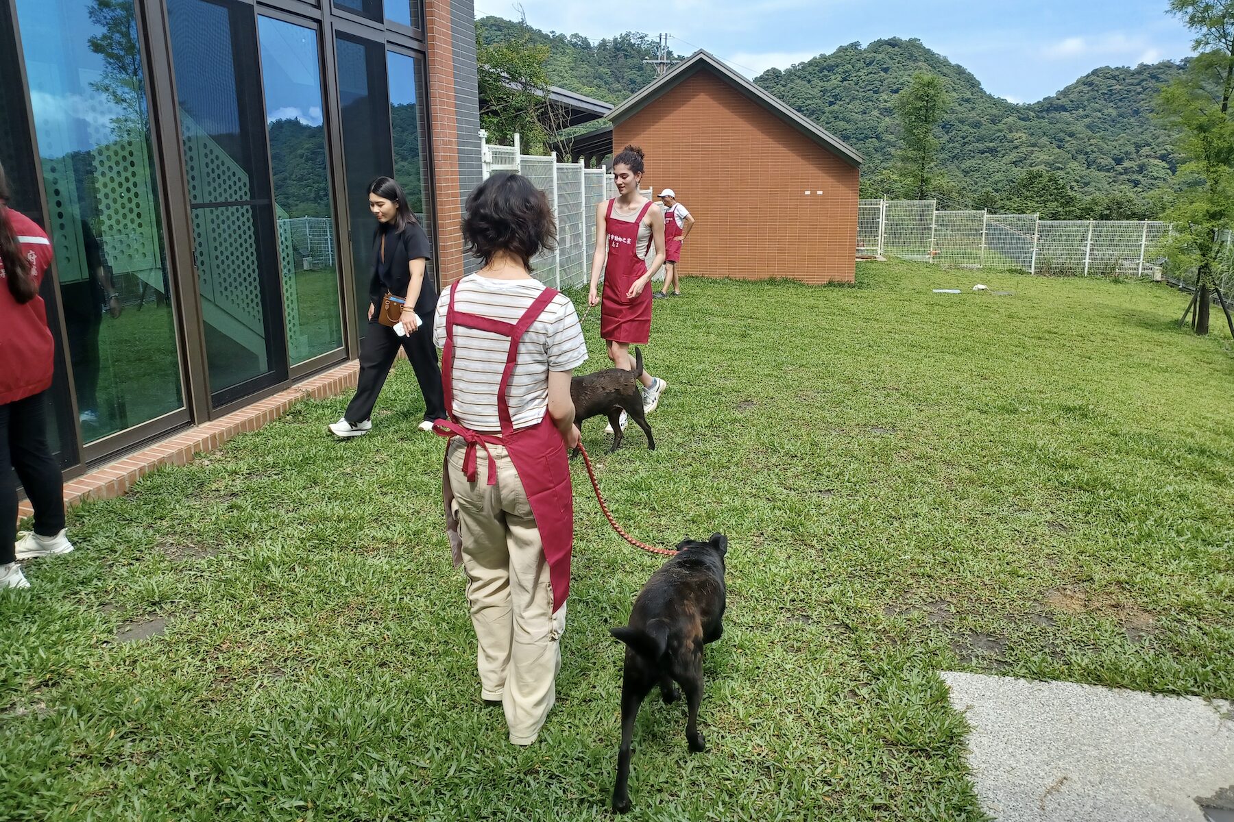 前進全台最美動物之家！瑞芳「山中教堂」免費接駁開跑     週一至週日皆可預約