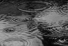 展望梅雨季 氣象署:雨量估「正常至偏少」