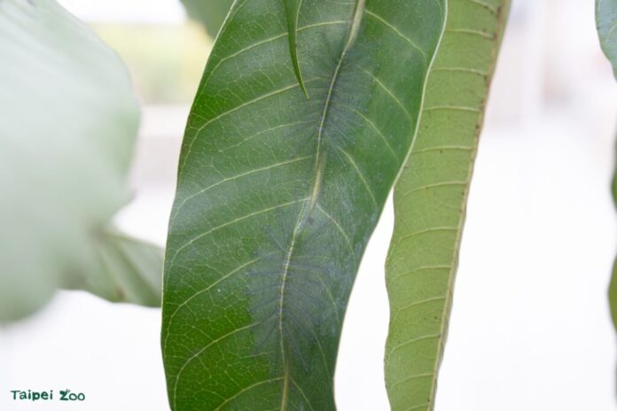 a1e18a6d-0e59-4cf3-bf4c-f35e59377a71-1024x683-1