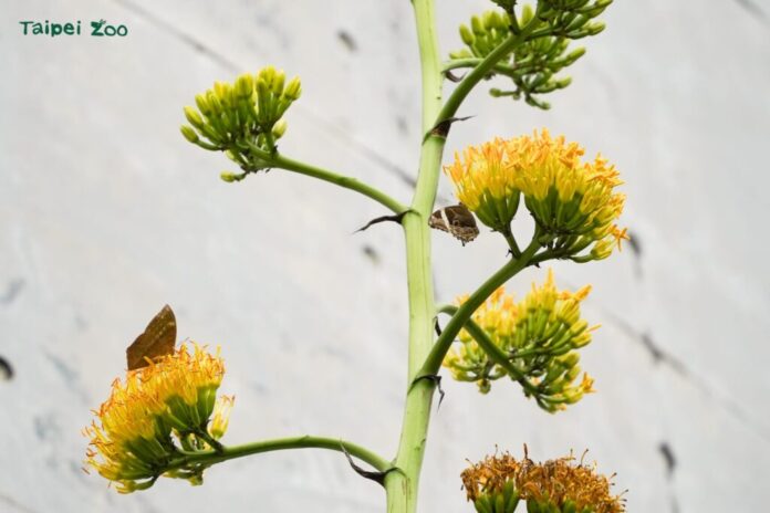 a25f3c08-3a71-4604-98d2-f9df47093bb5-1024x683-1