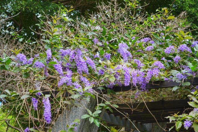 ae9633c794f1a1a657f622fcf8208d10-1024x683-1