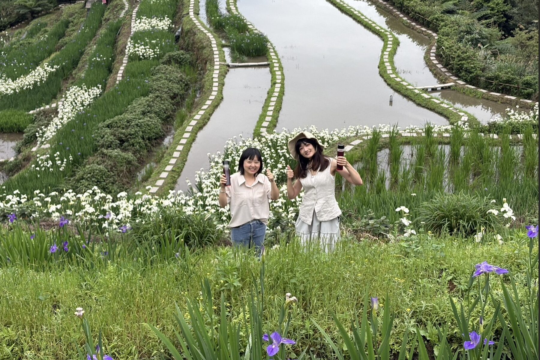 層層疊疊的紫色浪漫！石門嵩山社區鳶尾花季登場     百年砌石梯田變身藝廊