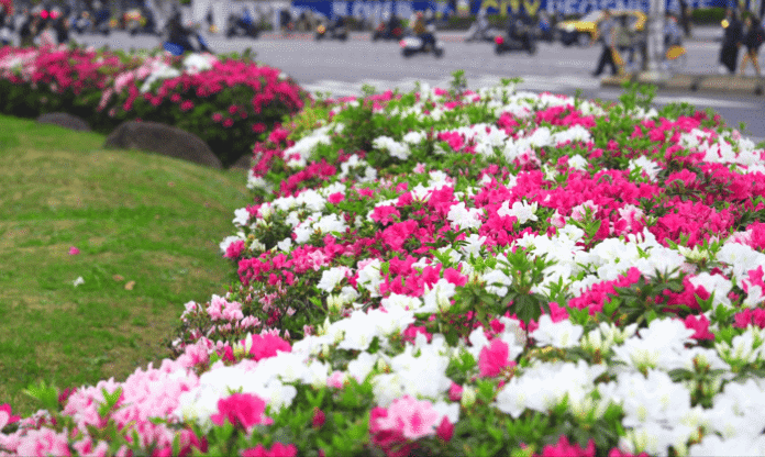 e8346fba6e5d52c1541877d30bf04de7