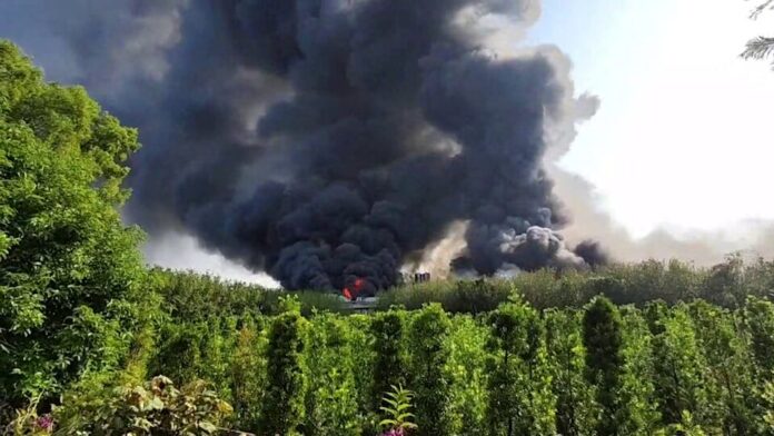 e9RNWPvlrYG8mu6akUzy