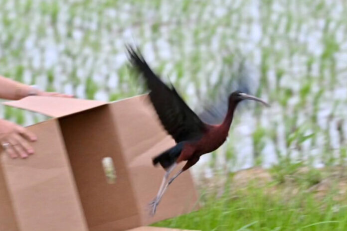 ohI844VQOD2TpK7Sx8fu