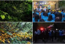 影音/火金姑的故鄉螢光閃耀 小礁溪賞螢季啟動