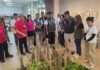 鹿草三角社區成果展登場 植物創作綻放歲月之花