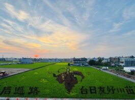 「2026天后派對」5/2-3在苑裡舉行，活動結合霹靂布袋戲「天妃」主題的巨幅彩繪稻田為主軸，展現農業地景藝術之壯闊魅力及社區手作體驗。（圖/記者林均和攝）