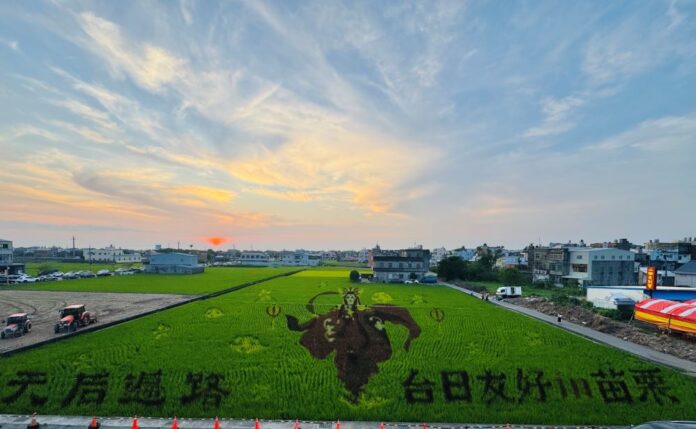 「2026天后派對」5/2-3在苑裡舉行，活動結合霹靂布袋戲「天妃」主題的巨幅彩繪稻田為主軸，展現農業地景藝術之壯闊魅力及社區手作體驗。（圖/記者林均和攝）
