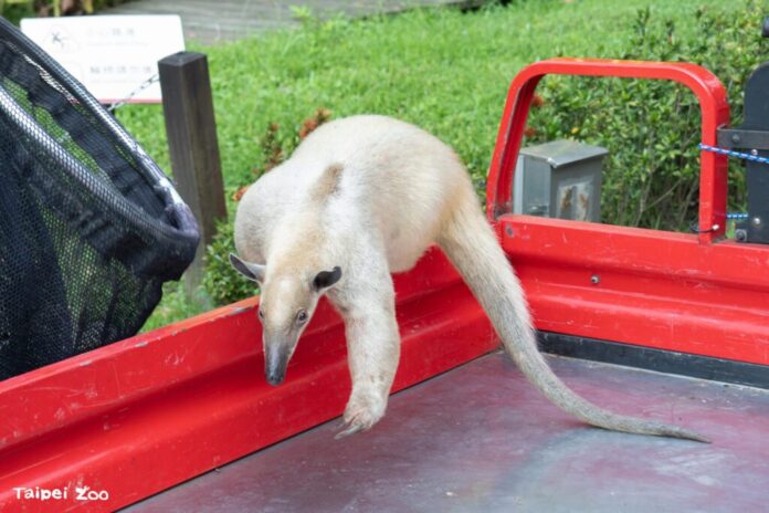 d84e6dc6-6b41-4777-a257-e2bab79d8729-1024x683-1