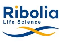 瑞博生物再啟抗血栓管線新里程碑:又一款 siRNA 新藥遞交 II 期臨床申請,持續釋放小核酸治療潛力