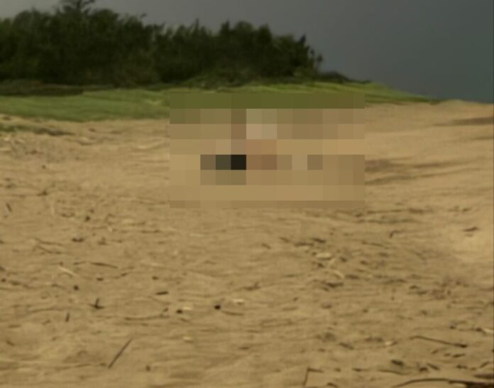 s2026052109041980