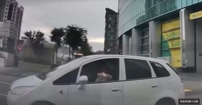 s2026052212194130