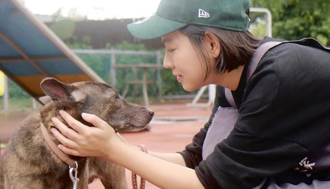 米可白長期關注流浪動物，近日為毛孩發聲痛批鍾東錦。（圖／翻攝米可白臉書）