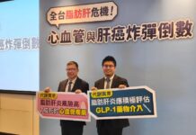 新型治療「脂肪肝」不再只是追蹤觀察! 醫籲高風險族群及早介入守護肝臟健康