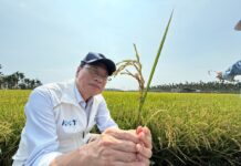 豪雨致農損破4千萬元 蘇清泉為屏東農民請命:提高災損補助、別讓農民獨自承擔