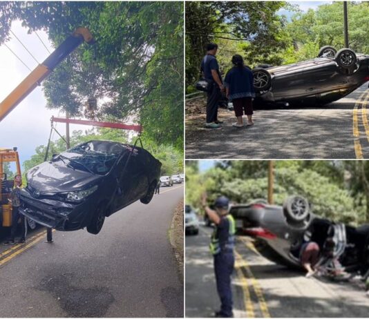 影音/為閃避黃喉貂 自小客翻車5人受傷