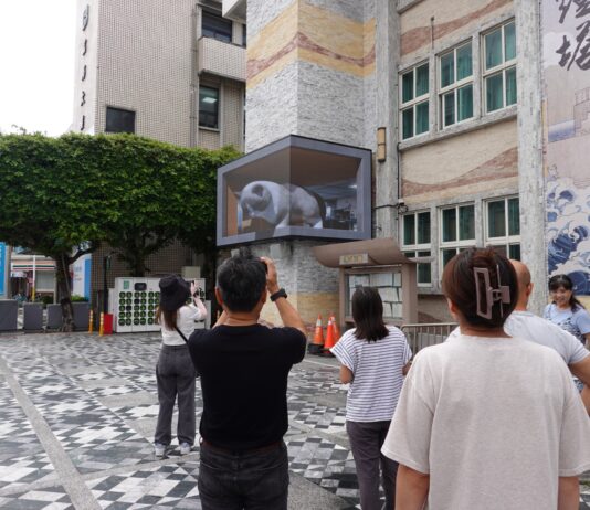 花蓮市打造全新城市地標 裸視3D電視牆將驚艷登場