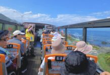 迎接淡江大橋通車觀光新亮點!新北市推雙層巴士一日遊加開班次6月3日開放訂位