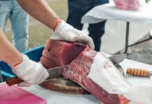 2026蘇澳港灣漁悅季 黑鮪浪潮6月20日登場
