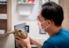 異寵飼養邁入新時代 法規納管之外醫療資源成最大挑戰