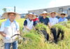 宜蘭酒米豐收啟航-臺日攜手打造智慧酒米供應鏈