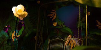 桃‧回原鄉之「自然幻境」特展 (圖/頑石國際有限公司提供)